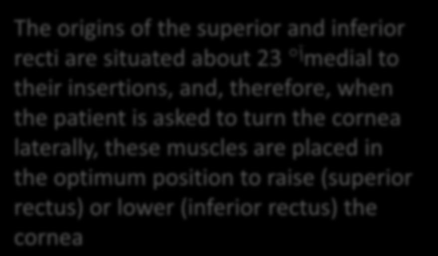 inferior oblique muscles can be tested.