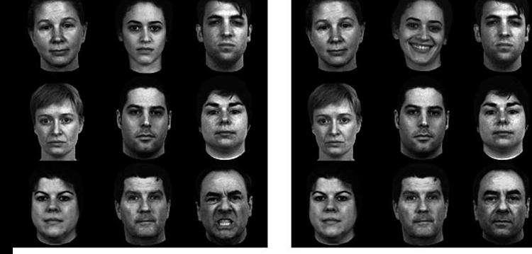 Social mind bugs Detect angry faces more quickly than