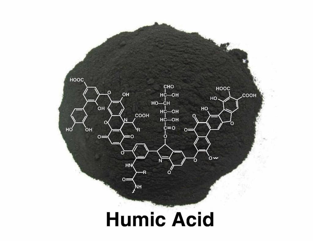 Since Humic Substances are comprised of extremely large molecules in the natural material; carbon bonds (- C-C- and C=C-)
