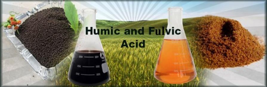 Humate is a common term used for humic and fulvic acid and humin.