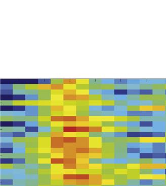Increases at the Choice Point upon Learning (A) Instantaneous Hpc-Pfc theta coherence (color coded) for one trial (overhead view). Each color point represents the average value over a ms sample.