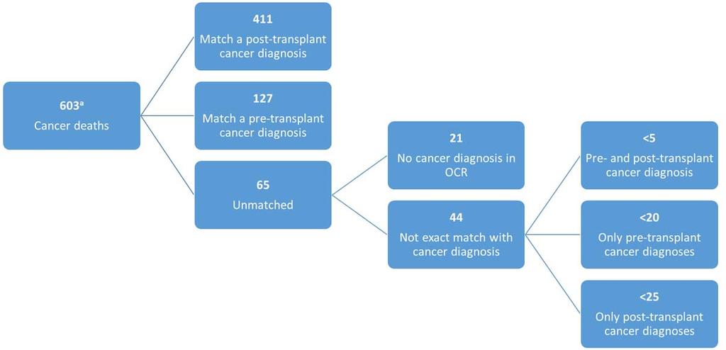 efigure 1. Timing of cancer death assignment diagram.