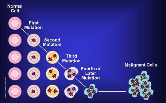 Cytogenetics: principles Malignant hemopathies are acquired diseases characterized by genetic aberrations which persist (= clonality) and accumulate (= clonal