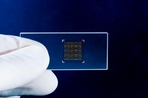 DNA CHIPS The thumbnail-sized devices