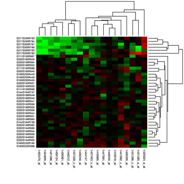 DNA MICRO ARRAY HEAT MAP Gene expression values from microarray experiments are represented as