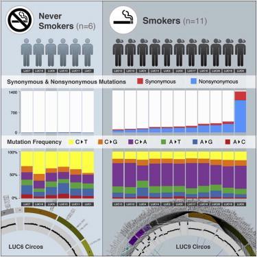 Genomic Landscape of Non-Small Cell Lung Cancer in Smokers and Never-Smokers : Ramaswamy Govindan et al: