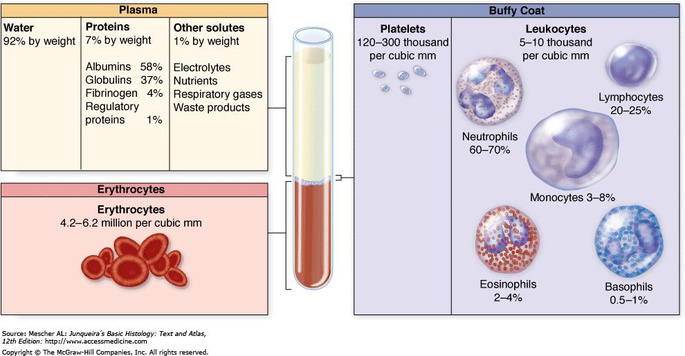 main cellular components: Leukocytes