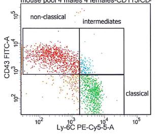 Classical Ly6C ++ CD43 + Intermediate CD14 ++ CD16 +