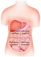 Digestive System Also called gastrointestinal (GI) system Composed