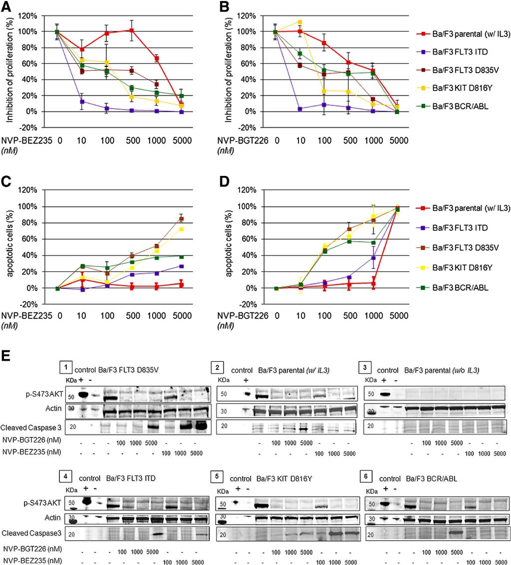 Kampa-Schittenhelm et al. Molecular Cancer 2013, 12:46 Page 10 of 18 Figure 7 Mutant-tyrosine kinases sensitize Ba/F3 cells to dual PI3K/MTOR inhibition.