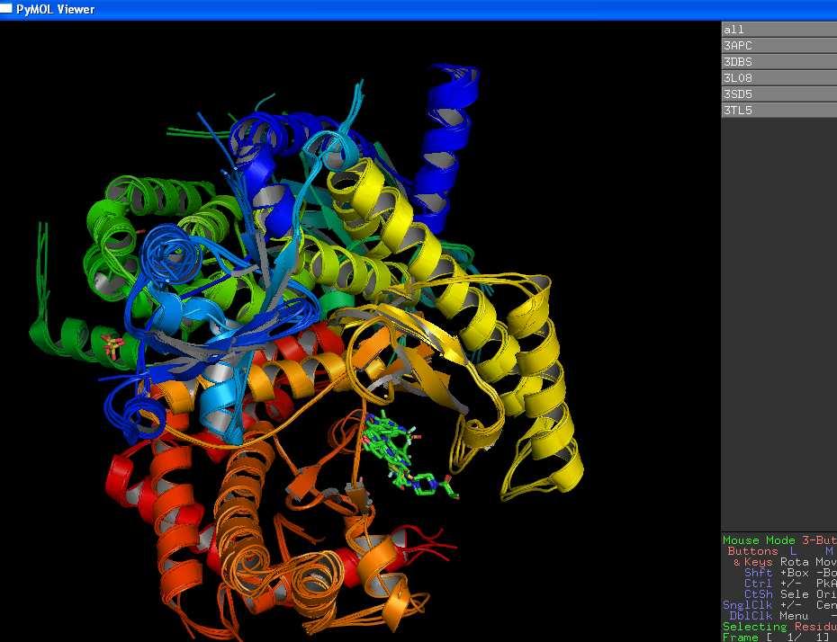 First of all we to delete compared the binding pocket of PDB ID - 3DBS, 3L08, 3APC, 3TL5, 3SD5 using pymol software.