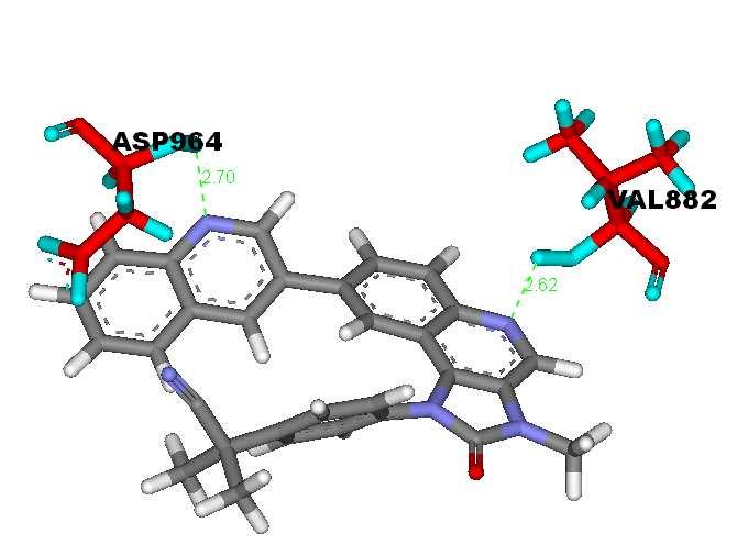 Docking Models of BEZ-235, highlighting the most important interaction between the inhibitors and The ATP binding pocket H-Bond Interaction of BEZ-235 docked in PI3K Gamma protein (PDB ID 3DBS)