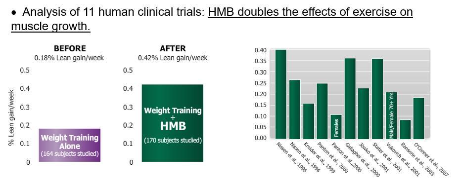 HMB: Clinical Studies