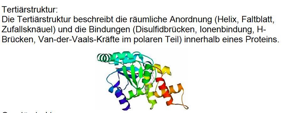 as alpha-helix or beta-sheet using also disulfide-bridges, ion-bonds, Van-der-Vaals forces, etc In the quaternary structure several protein chains
