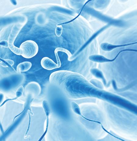 Managing the fertility of male