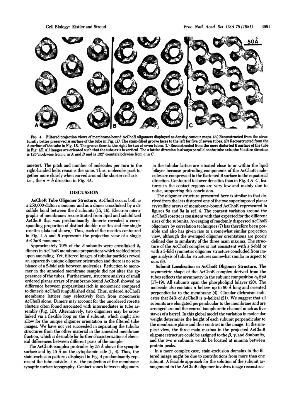 Cell Biology: Kistler and Stroud Proc. Natl. Acad. Sci. USA 78 (1981) 3681 FIG. 4. Filtered projection views of membrane-bound AcChoR oligomers displayed as density contour maps.