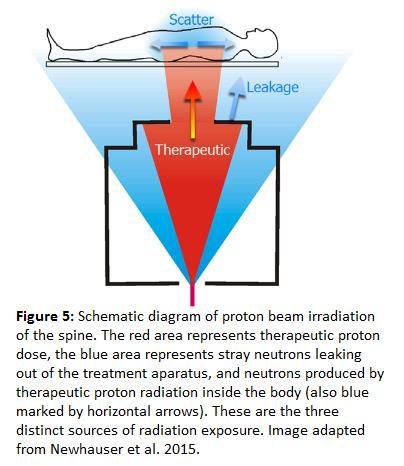treatment, all illustrated in figure 5. The beneficial and purposeful radiation is the therapeutic protons pictured in red. The second is stray neutrons from the treatment apparatus pictured in blue.