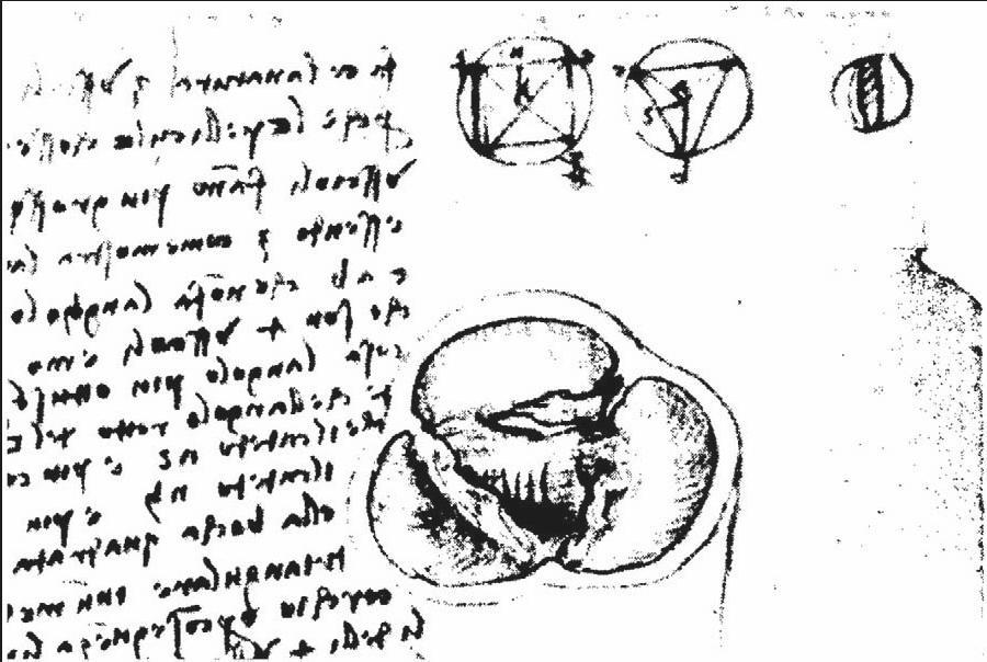 Leonardo s notes Royal
