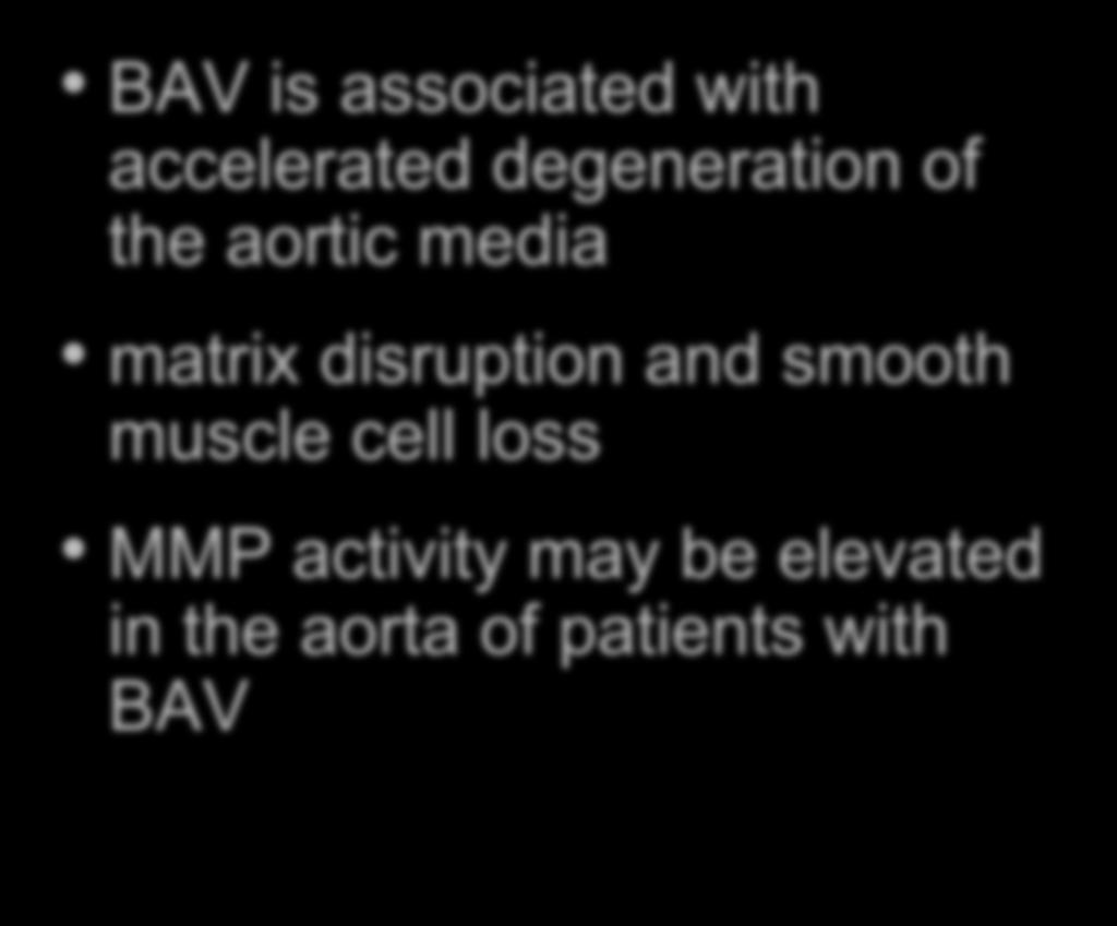 The facts Marfan-like BAV is associated with