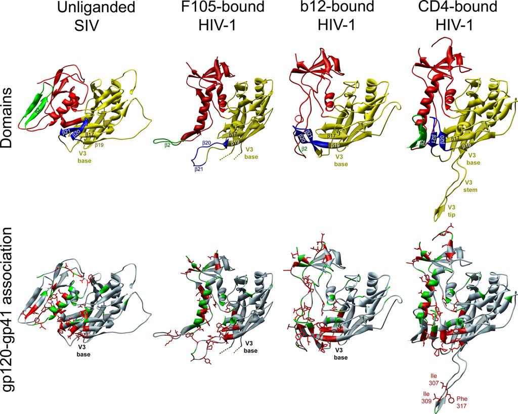 3154 XIANG ET AL. J. VIROL. FIG. 6. Changes in HIV-1 gp120 resulting in decreased association with gp41.