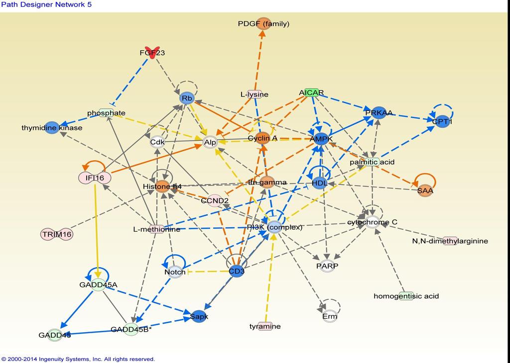 Networking Prediction MAP