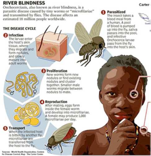 Neglected tropical diseases (NTD) Virus
