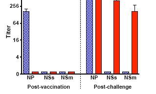 Differentiating Infected from Vaccinated Animals Polymerase Built into vaccine design 3-way ELISA