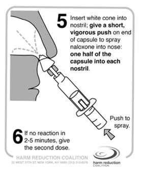 nozzle Insert the nozzle into one nostril, until your two fingers are against the bottom of the nose Press the plunger firmly to give one dose If second dose is needed, use new nasal spray Narcan