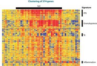 Application of Proteomics Microarray transcriptional profiling is a powerful tool for: Investigation causes and mechanisms of diseases Diagnosis