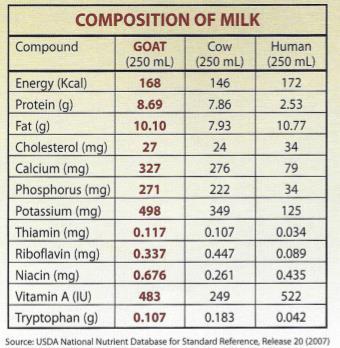#3. Goat s Milk Higher in fat but lower in cholesterol than cow s milk Closer than cow s milk to human milk so it s easier for children to digest Studies show that up to 50% of people who are lactose