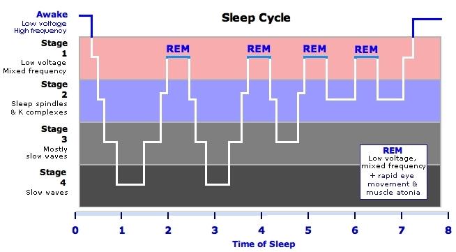 Sleep Quality a Picture of Normal Sleep The Keil Centre, 2015 13 Regulation of Sleepiness and Alertness Sleep need (homeostatic mechanism) Increases with time awake Decreases with sleep Sleep urge
