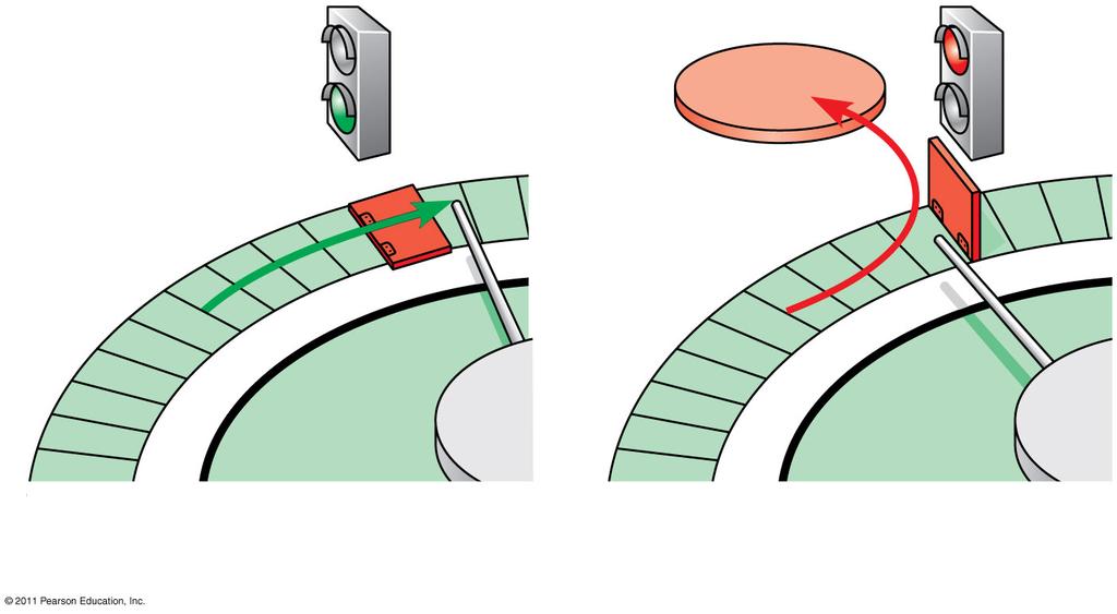 Figure 12.16 G 1 checkpoint (a) Cell receives a go-ahead signal. G 0 G 1 G 1 (b) Cell does not receive a go-ahead signal.