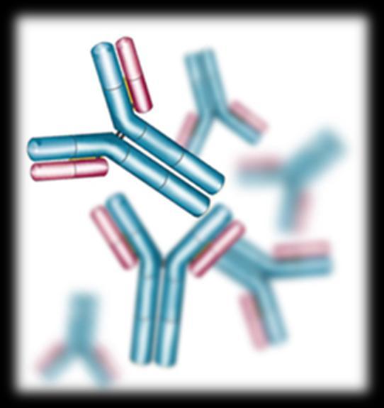 Antibody technology Antibodies can be obtained specific to aflatoxin B1