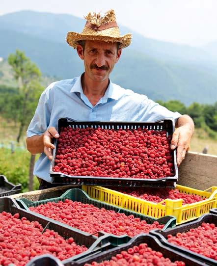 In Bosnia-Herzegovina, Caritas supports farming families in