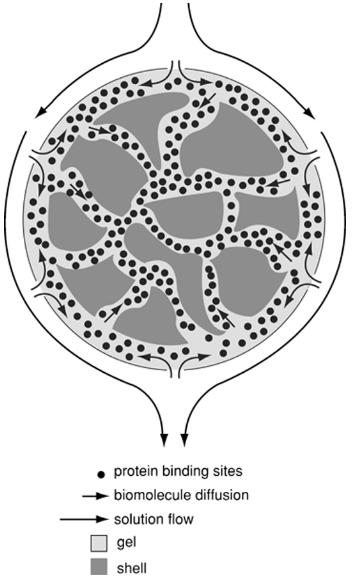 KAPITULUA 6. KROMATOGRAFIA LIKIDO ULTRA-AZKARRA 6.6.3 Perfusio-kromatografia 1989 1991 bitartean, monolitoen antza zuen teknika kromatografiko berri bat ezagutzera eman zen.