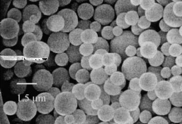 zituzten. Irudietan, zutabe kapilarretan paketaturiko µ-partikulen SEM mikrografiak ( 9.000): (a) 1.5 µm-ko partikula ez-porodun eta uniformeak; (b) 1.5 µm-ko partikula porodun ez-uniformeak [128].
