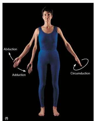 MOVEMENTS ABDUCTION means moving away from body midline. E.g. Moving an upper-limb away from the side of the body.