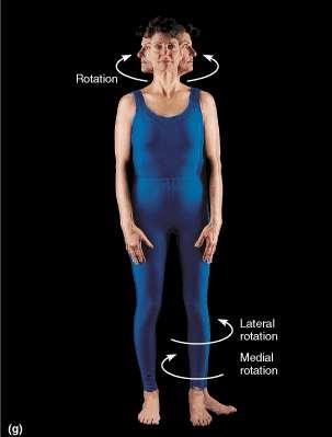 MOVEMENTS ROTATION involves turning or revolving a part of the body around its longitudinal axis (E.g. turnings one s head to the side) MEDIAL ROTATION Rotation toward the midline of the body.