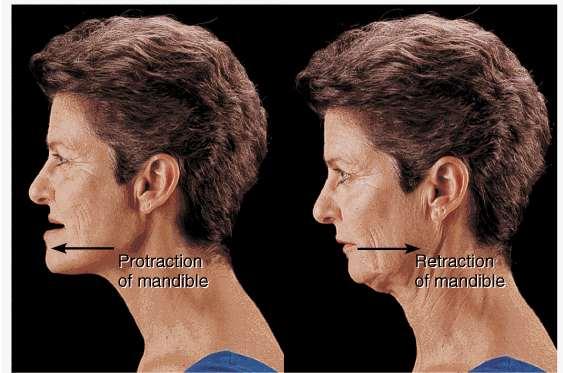 MOVEMENTS PROTRACTION Anterior (forward) sliding movement. E.g. Sticking the chin out.