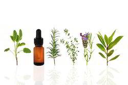 ESSENTIAL OIL Essential Oil Aniseed