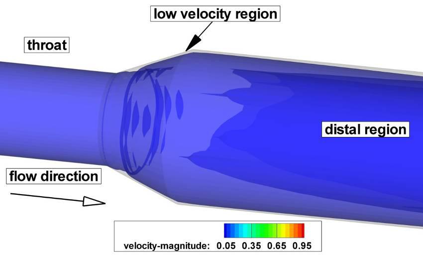 216 Data Management and Security Figure 5: Iso-velocity distribution for time step t = 0.