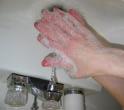 Hand Washing In order to kill enough germs, hands must be lathered up and rubbed together under running water for at