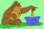 Which PROBLEM(S) are testable? Do gorillas eat food? NO NO How many pounds of bananas do adult male gorillas eat in 1 week?