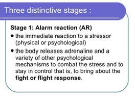 Flight and Fight: sympathetic nervous system response increases blood flow to heart and muscles, pulse and