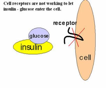 and Insulin Levels Supplement Options: Conjugated linoleic acid (CLA),