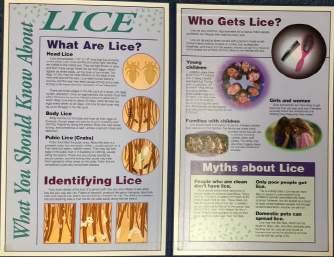 WU 110 LAR What You Should Know about Lice B60028 This 4 panel