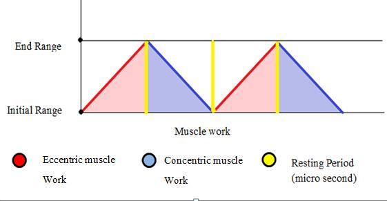 International Journal of Scientific and Research Publications, Volume 7, Issue 5, May 2017 458 Effect of Two Different Movement Patterns of Isotonic Muscle Work on Fatigue Index, Power, Strength and