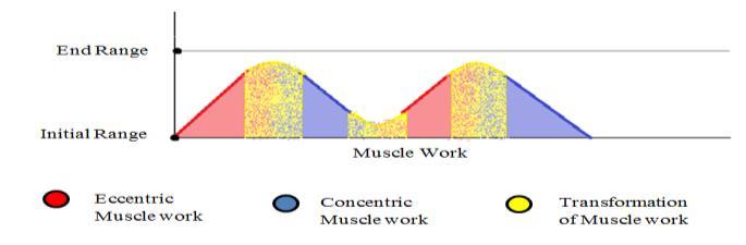 There is smooth and continuous change in muscle length. This mechanism of direct exchange without breaking down was ignored during fitness trainings.