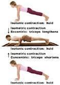 Plank to chaturanga dandasana (Look at triceps activity) Static triceps