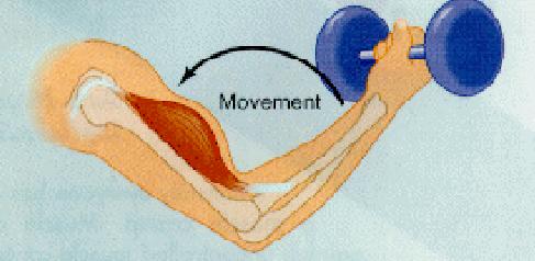 The Two Movement Phases of